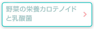 野菜の栄養カロテノイドと乳酸菌