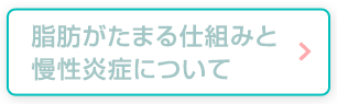脂肪がたまる仕組みと慢性炎症について