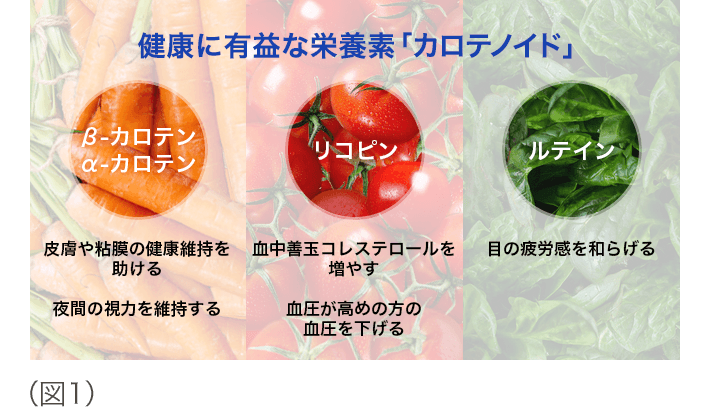 健康に有益な栄養素「カロテノイド」 図1
