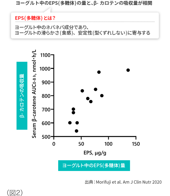 ヨーグルト中のEPS（多糖体）の量と、β-カロテンの吸収量が相関 図2