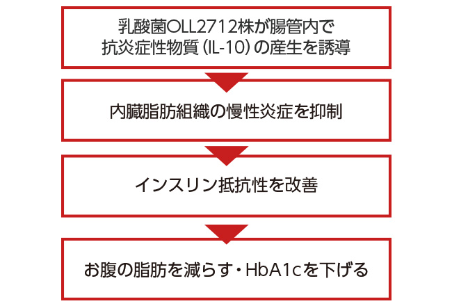 乳酸菌OLL2712株の作用とメカニズムとは