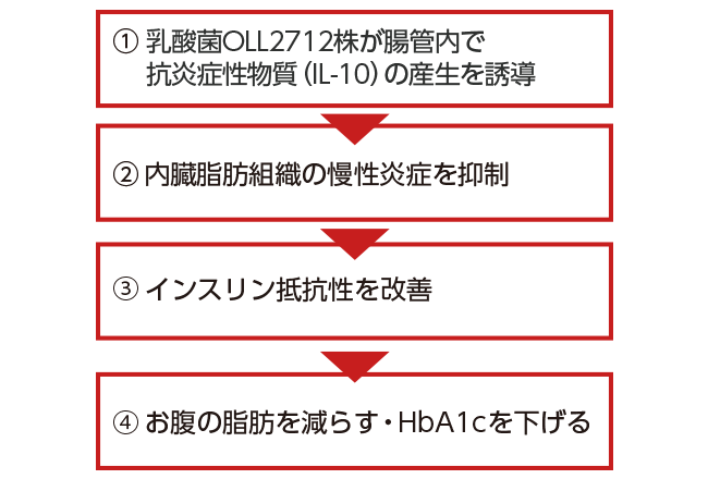 乳酸菌OLL2712株の作用とメカニズムとは