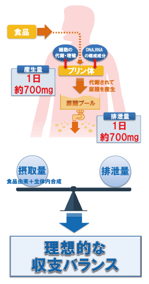 プリン体とは