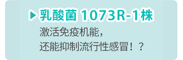 乳酸菌 1073R-1株