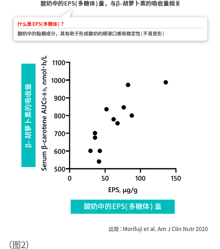 酸奶中的EPS(多糖体)量，与β- 胡萝卜素的吸收量相关 (图2)