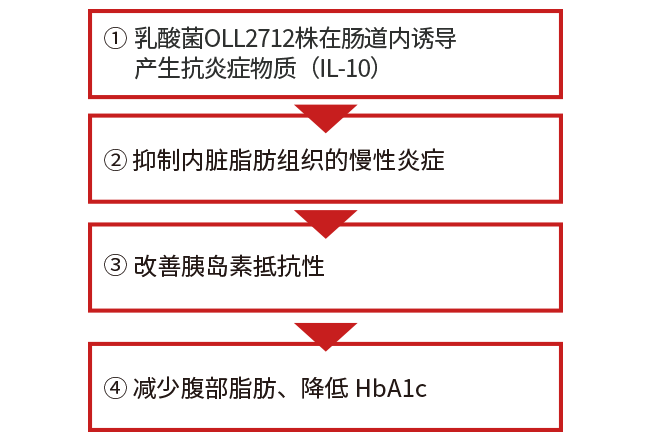 乳酸菌OLL2712株的作用与机制