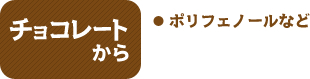 チョコレートから　ポリフェノールなど