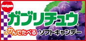 ガブリチュウ