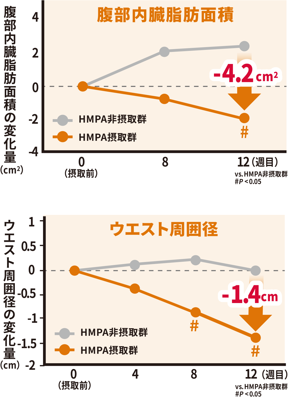 機能３　腹部の脂肪（内臓脂肪）とウエスト周囲径を減らすのを助ける