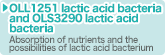 OLL1251 lactic acid bacteria and OLS3290 lactic acid bacteria