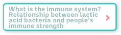 What is the immune system? Relationship between lactic acid bacteria and people’s immune strength