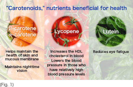 "Carotenoids," nutrients beneficial for health (Fig. 1)