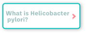 What is Helicobacter pylori?