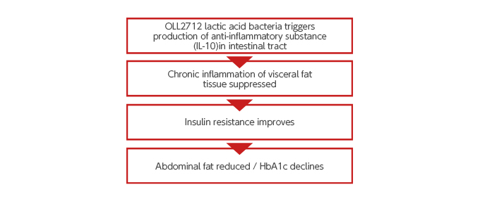 What are the effects and mechanism of action of OLL2712 lactic acid bacteria?