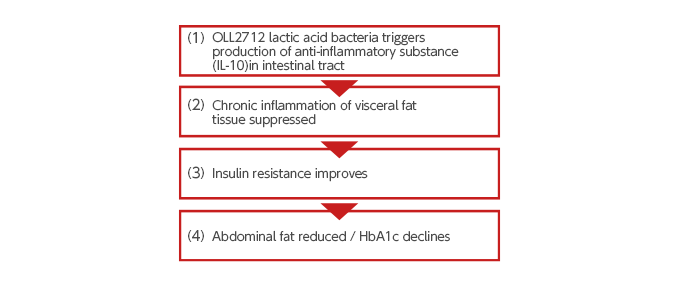 What are the effects and mechanism of action of OLL2712 lactic acid bacteria?