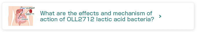 What are the effects and mechanism of action of OLL2712 lactic acid bacteria?