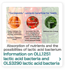 Absorption of nutrients and the possibilities of lactic acid bacterium Information on OLL1251 lactic acid bacteria and OLS3290 lactic acid bacteria