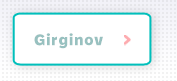 Girginov