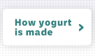 How yogurt is made