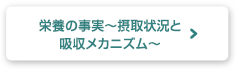 栄養の事実〜摂取状況と吸収メカニズム〜