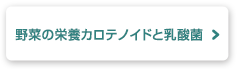 野菜の栄養カロテノイドと乳酸菌