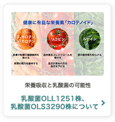 栄養吸収と乳酸菌の可能性 乳酸菌OLL1251株、乳酸菌OLS3290株について