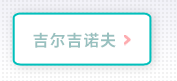 吉尔吉诺夫